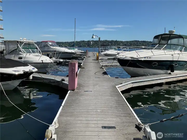 Nice, wide dock with excellent lighting.