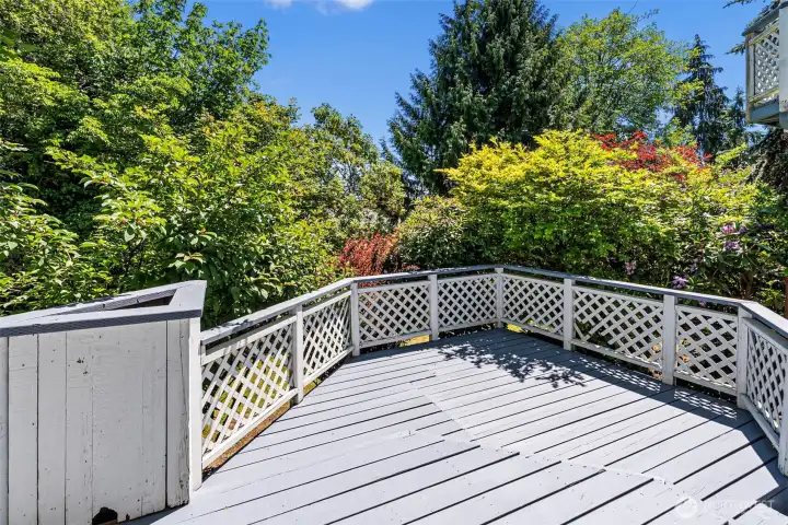 Lower deck