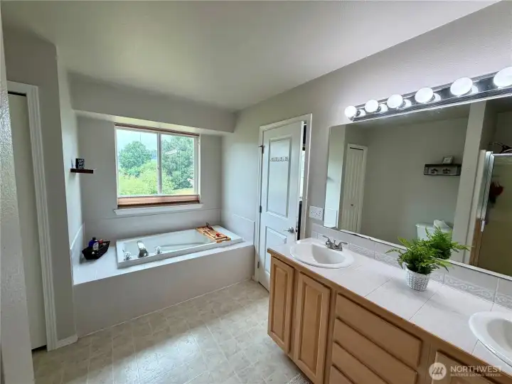 Primary bath suite