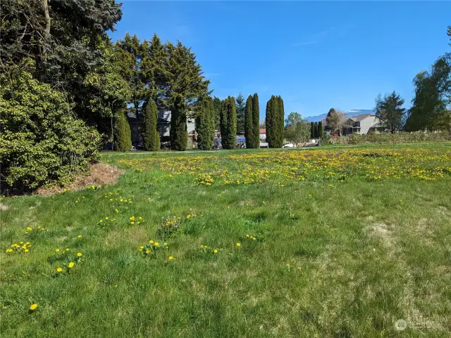 Lot 1 Patrick Drive looking North.