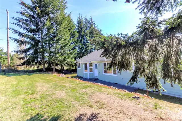 Terraced back yard