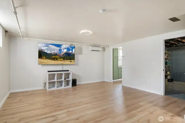 Lower Level Recroom/Living room