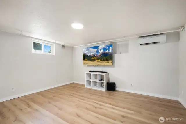 Lower level Recroom/living room