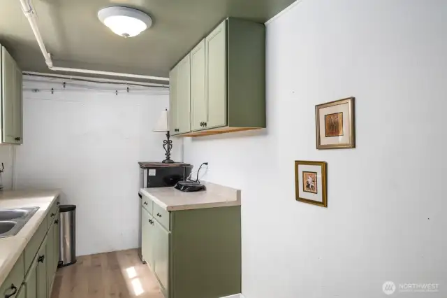Lower Level kitchen.  Ideal MIL set up