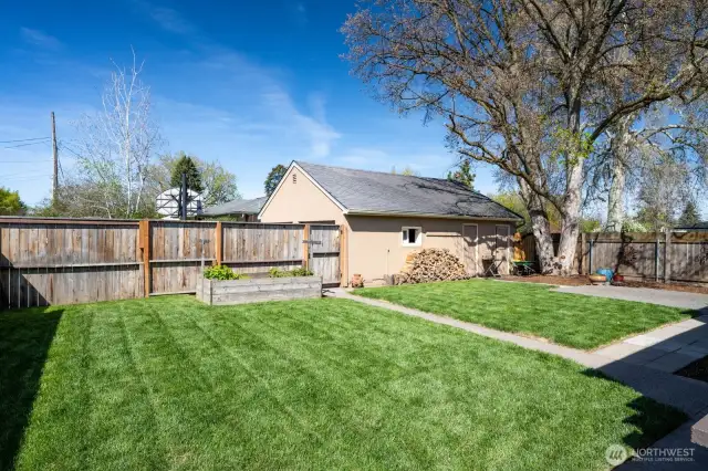 All new sod in this fantastic yard.