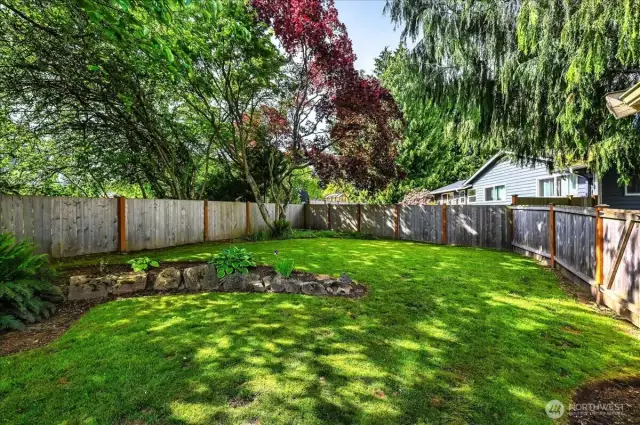 Fenced Backyard