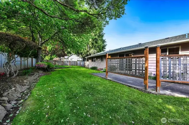 Backyard and Mature Landscape