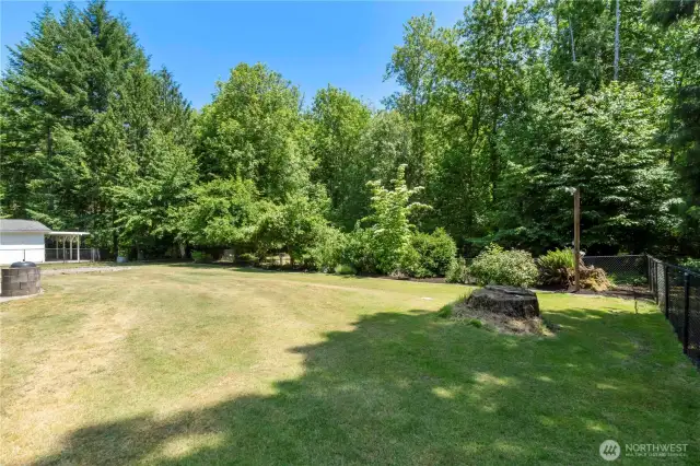 Another view of the property with 1 cherry and 2 apple trees.