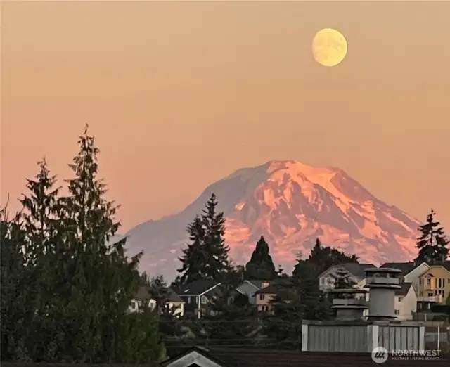 From your bedroom and the deck!
