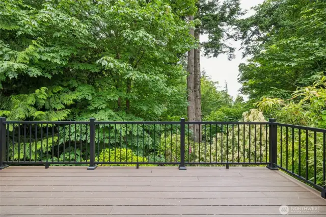Rear Deck