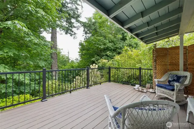 Rear Deck