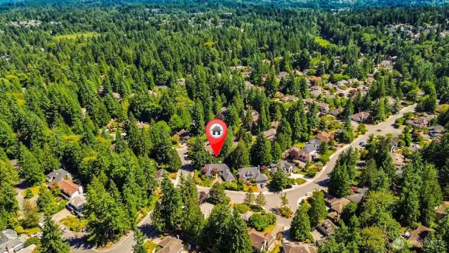 Unparalleled beauty of the Sammamish plateau!