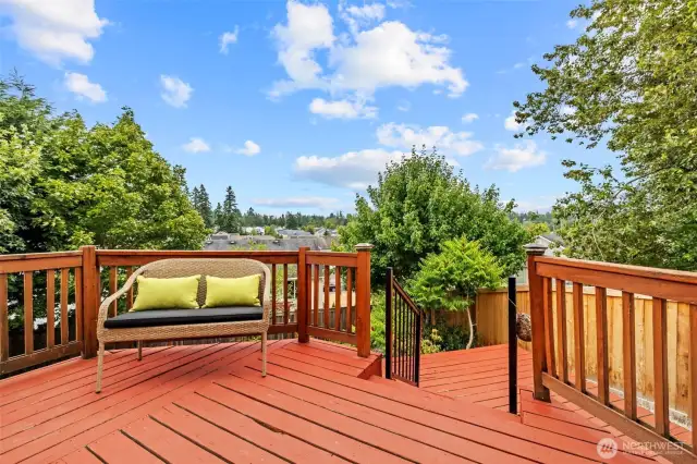 stained deck with mountain views