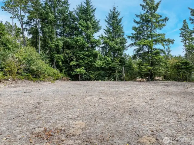 Potential homesite - view to NE corner of lot