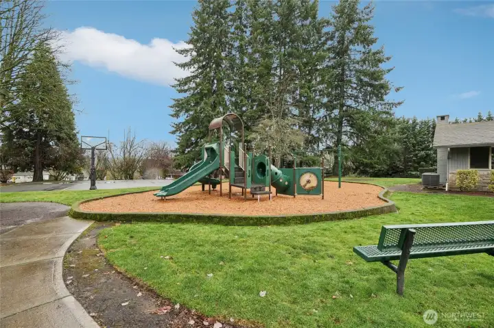 Community Playground