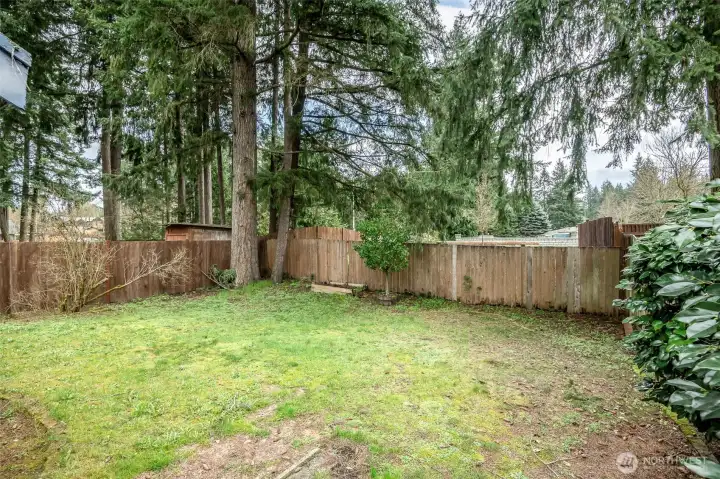 Large Fenced Yard