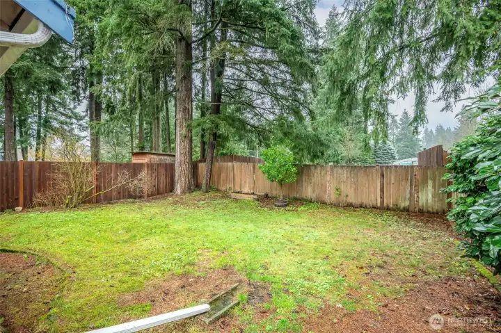 Fenced backyard