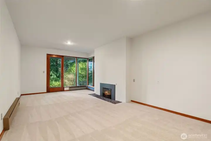 Lower level family room with fireplace.