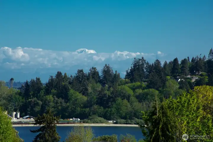 Welcome to A-411 at Harbor Square.  Mount Rainier visible from this home.