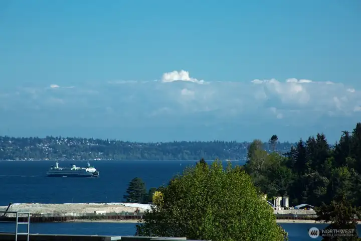 Puget Sound and southern views from each room.