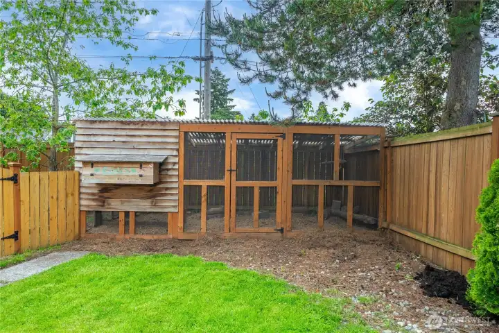 Chicken Coop