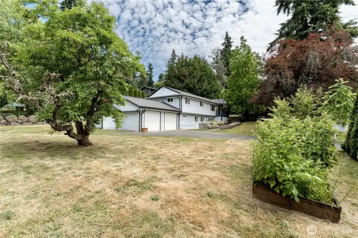 Side lot with beautiful garden, fruit trees, and walnut trees.