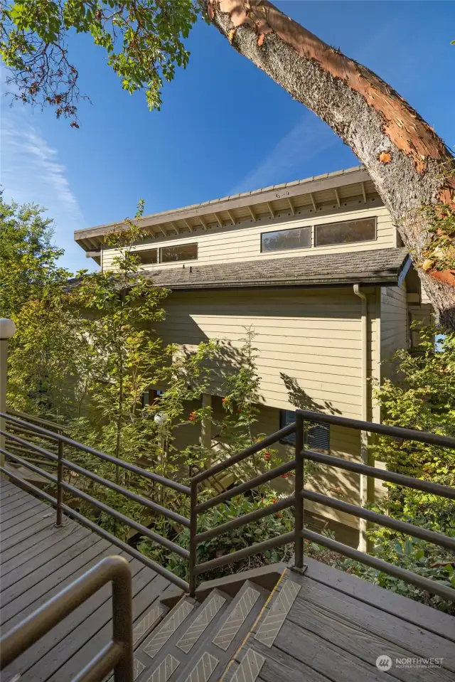 Stairs and walkway