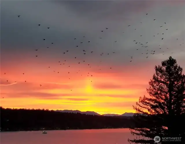 Capture the amazing colors of the sunrise from your Living and Family Rooms!