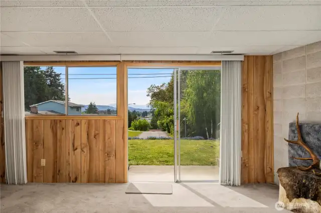 Family Room (Lower)