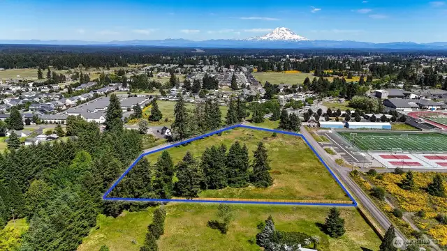 Five acres of level pasture land with tall evergreens. Blue boundary lines are approximate. Buyer to verify to their own satisfaction.