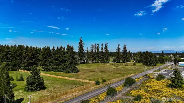 Plenty of space for horses, hens, and a flock of goats!