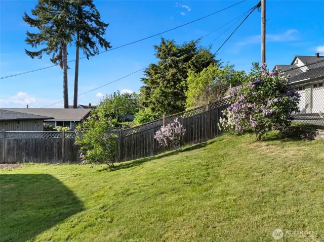 Fully fenced grassy backyard!