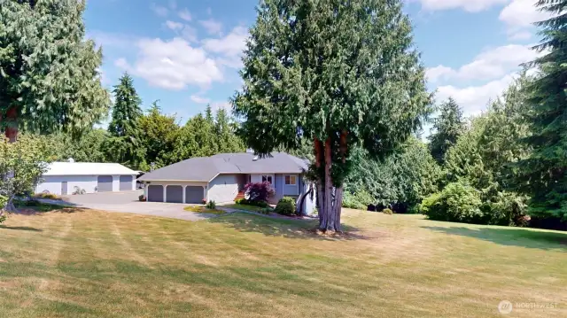 Beautiful home, shop and property!