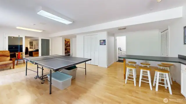Lower level game room!