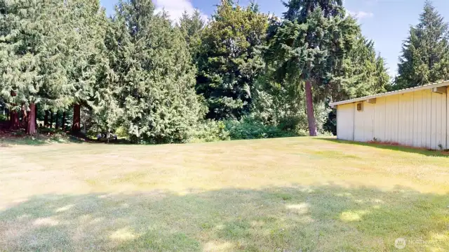 Area behind shop!