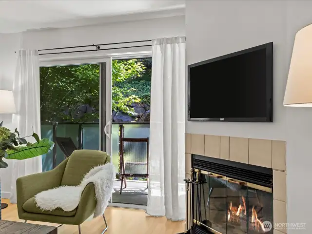 Working Wood Fireplace