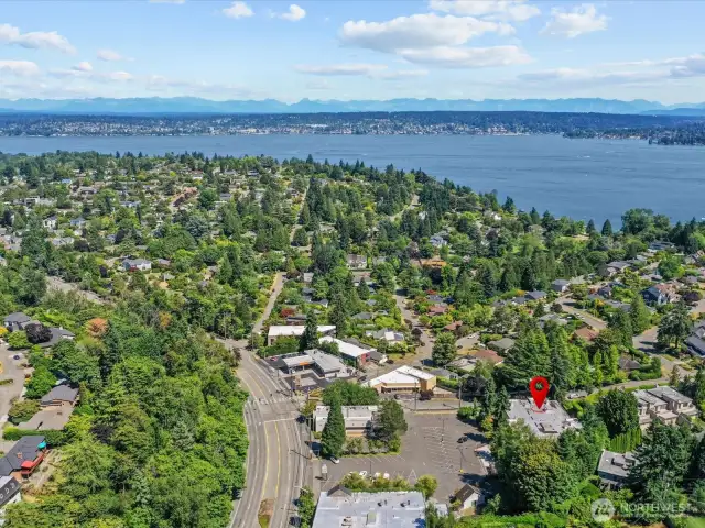 View toward Lake Washington and Magnusen Park