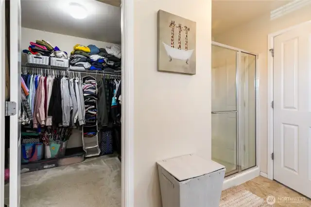 Walk-in closet and a shower in primary bath