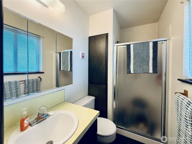 Primary bathroom, shower, storage, vanity, and energy efficient toilet.