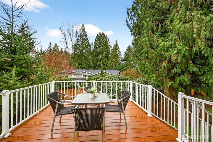 Step outside to a spacious deck surrounded by evergreens, giving you a peaceful, private backdrop for outdoor dining and weekend lounging. The clean white railings frame the view, and the generous footprint easily fits a table, grill, and seating. It is the perfect extension of the home, ideal for morning coffee, summer dinners, and calm evenings under the trees.