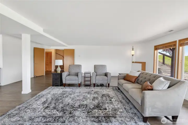 Large lower level living area with propane fireplace.