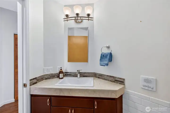 Lower level bathroom with heated floors.