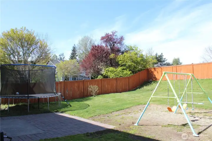 Patio and one apple tree
