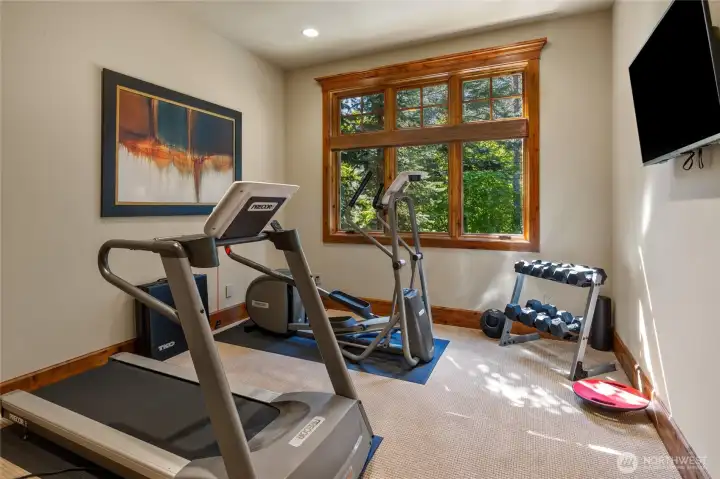 Workout Room (Bedroom 2)