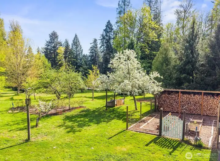 A orchard featuring apple, cherry, walnut, hazelnut and 16 blueberry bushes.  Owner has installed four frost free yard hydrants for watering the grounds.