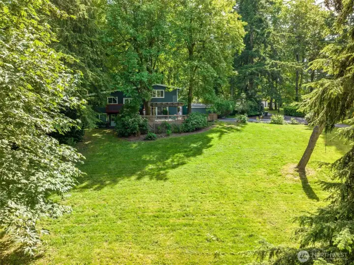 Large open property combined with trees on the east side.