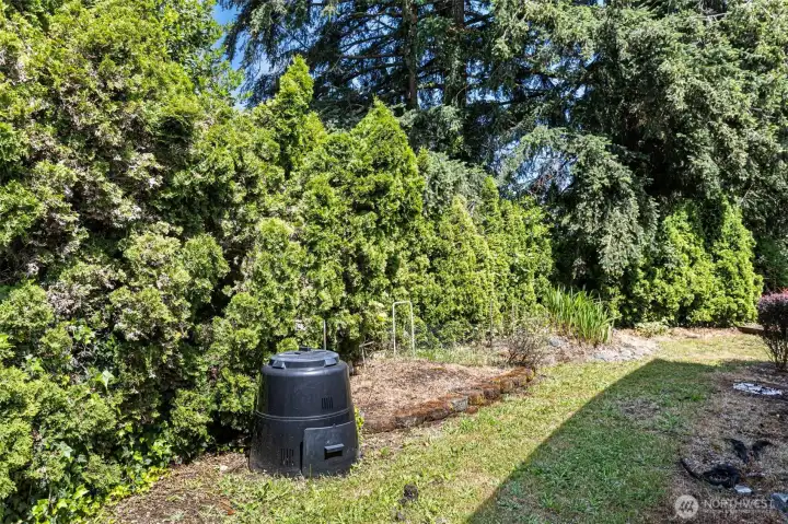 Backyard Backyard