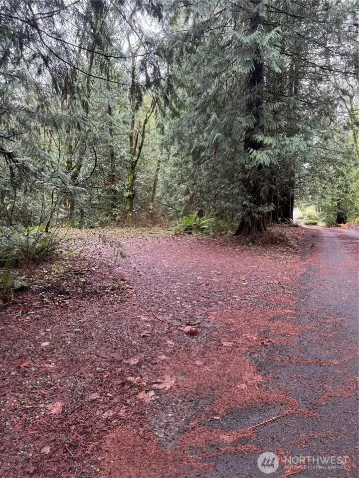 Side Road Access to Build Site