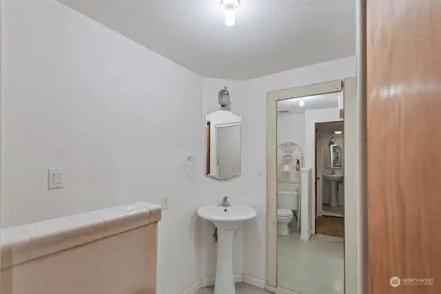 Lower level bathroom