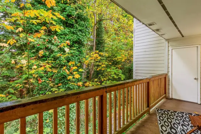 Another view from the back deck, which includes your own storage space.